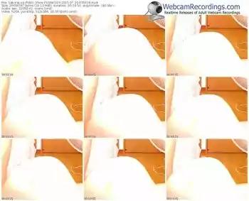 sakuralivejp-usako23-public-show-07_20_2015-03_56_24