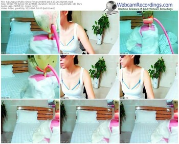 sakuralivejp-mayumi809-public-show-07_20_2015-23_26_45