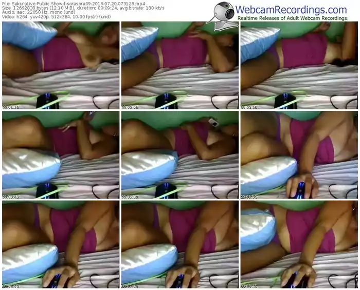 sakuralivejp-sorasora09-public-show-07_20_2015-07_31_28