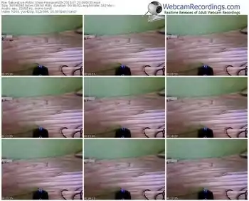 sakuralivejp-sorasora09-public-show-07_20_2015-08_01_30