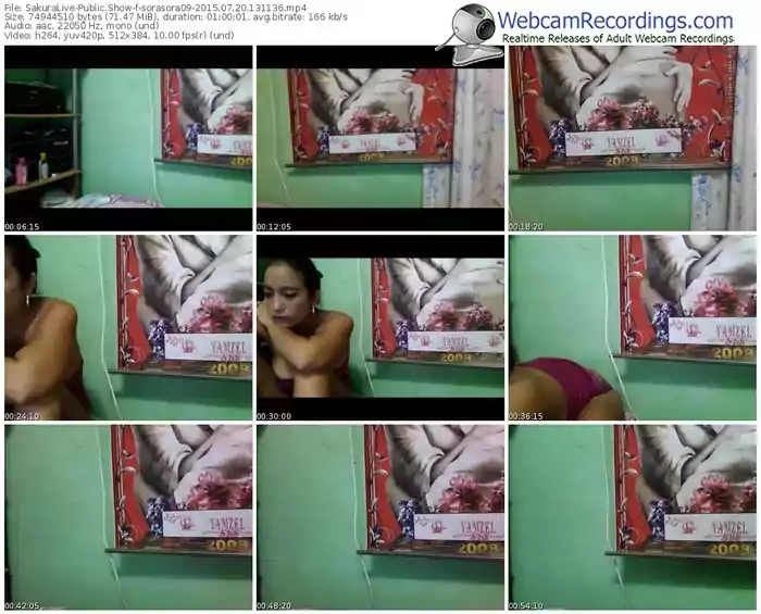 sakuralivejp-sorasora09-public-show-07_20_2015-13_11_36