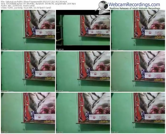 sakuralivejp-sorasora09-public-show-07_20_2015-14_11_36