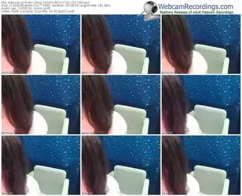 sakuralivejp-ana5-public-show-07_21_2015-15_17_08