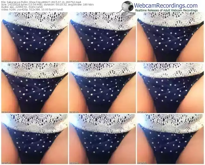 sakuralivejp-ayu86927-public-show-07_21_2015-20_07_52