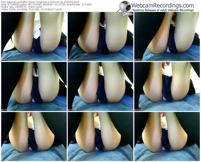 sakuralivejp-mari2014-public-show-07_21_2015-05_31_55