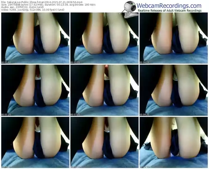 sakuralivejp-mari2014-public-show-07_21_2015-06_31_56