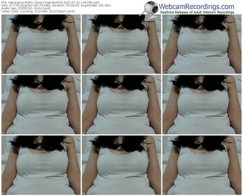 sakuralivejp-namitan555-public-show-07_21_2015-14_47_08