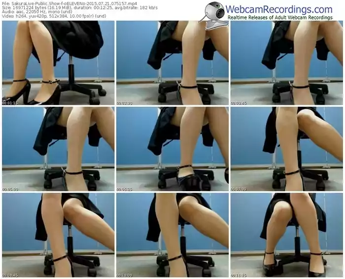 sakuralivejp-oeleveno-public-show-07_21_2015-07_51_57