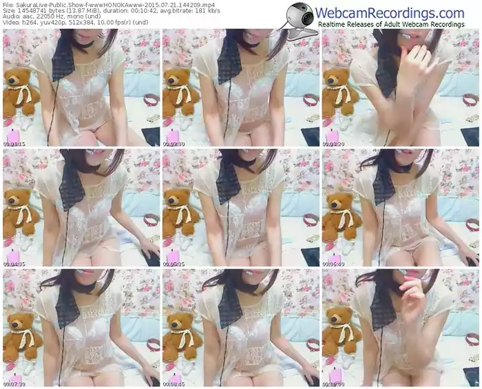 sakuralivejp-wwwhonokawww-public-show-07_21_2015-14_42_09