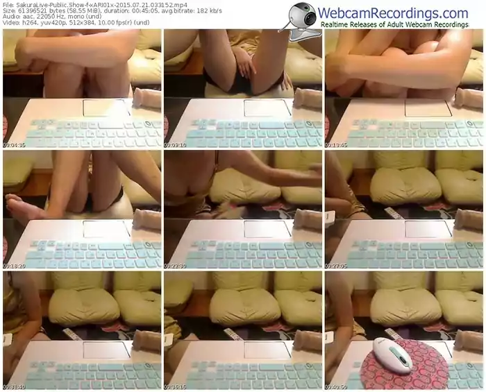 sakuralivejp-xari01x-public-show-07_21_2015-03_31_52