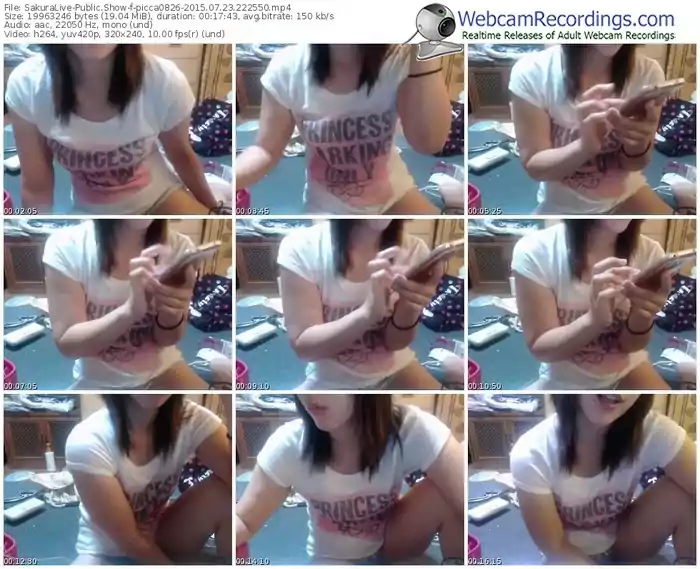 sakuralivejp-picca0826-public-show-07_23_2015-22_25_50