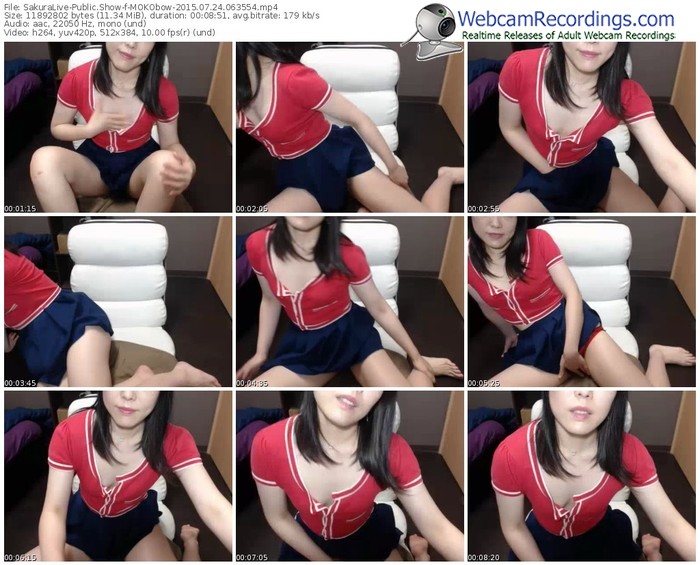 sakuralivejp-mokobow-public-show-07_24_2015-06_35_54