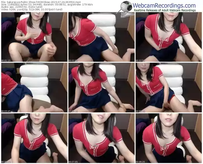 sakuralivejp-mokobow-public-show-07_24_2015-06_35_54