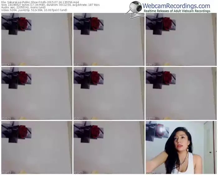 sakuralivejp-sofii-public-show-07_24_2015-13_55_56