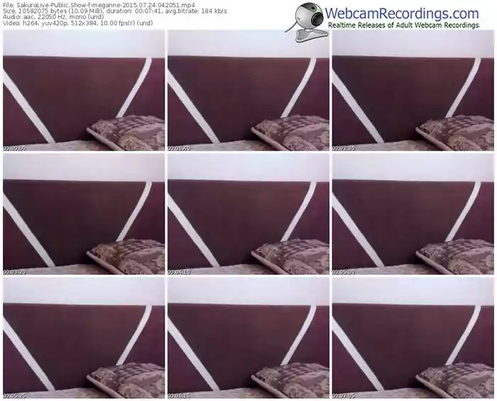 sakuralivejp-meganne-public-show-07_24_2015-04_20_51