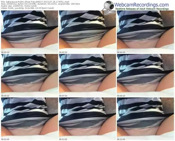 sakuralivejp-ayu86927-public-show-07_25_2015-17_40_51