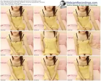 sakuralivejp-misakixx00-public-show-07_25_2015-03_30_51