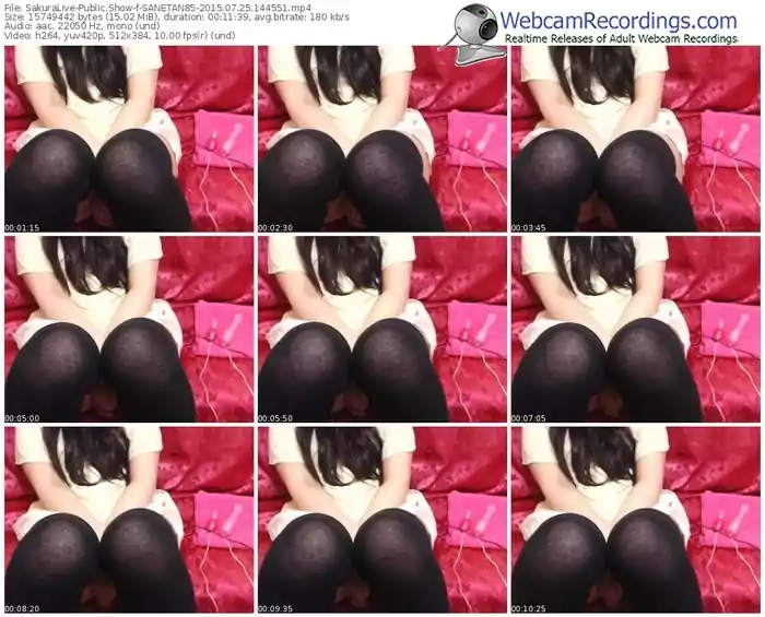 sakuralivejp-sanetan85-public-show-07_25_2015-14_45_51