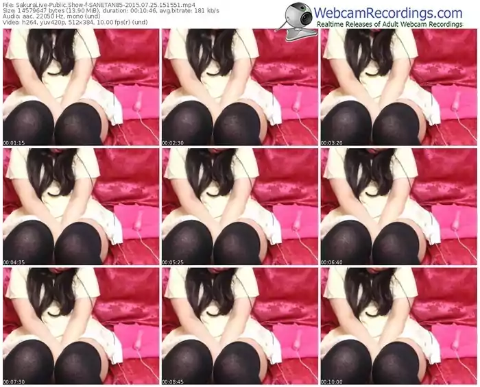 sakuralivejp-sanetan85-public-show-07_25_2015-15_15_51