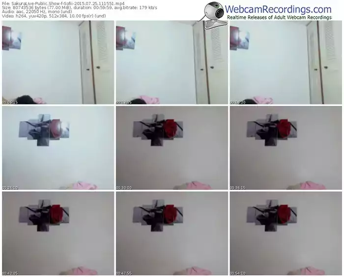 sakuralivejp-sofii-public-show-07_25_2015-11_15_51