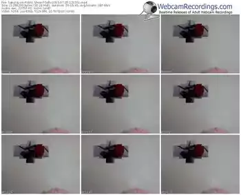 sakuralivejp-sofii-public-show-07_25_2015-12_15_51