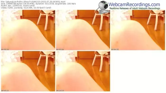 sakuralivejp-usako23-public-show-07_25_2015-06_30_51