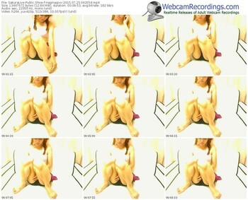 sakuralivejp-naginagixx-public-show-07_25_2015-06_20_54