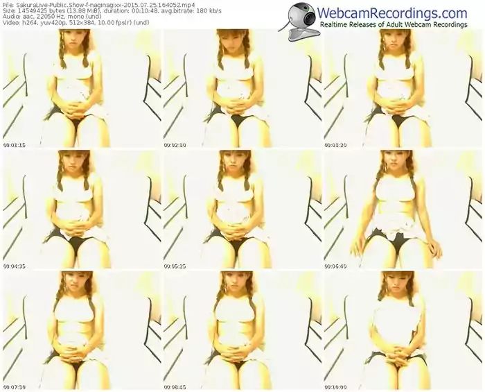 sakuralivejp-naginagixx-public-show-07_25_2015-16_40_52