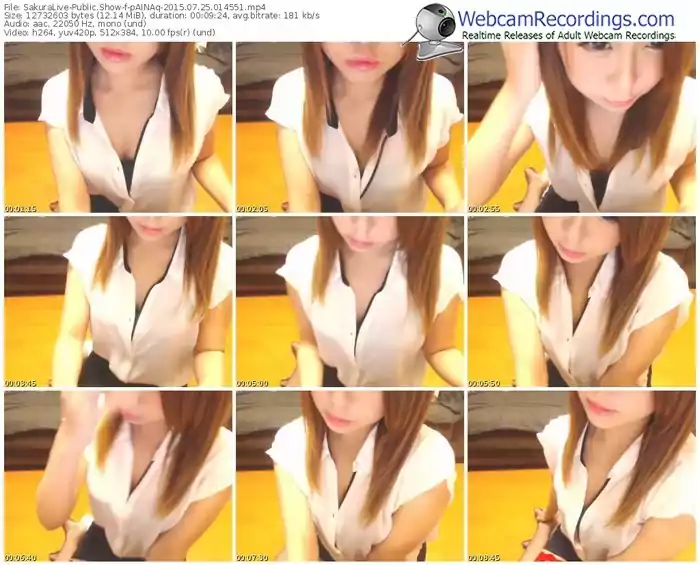 sakuralivejp-painaq-public-show-07_25_2015-01_45_51