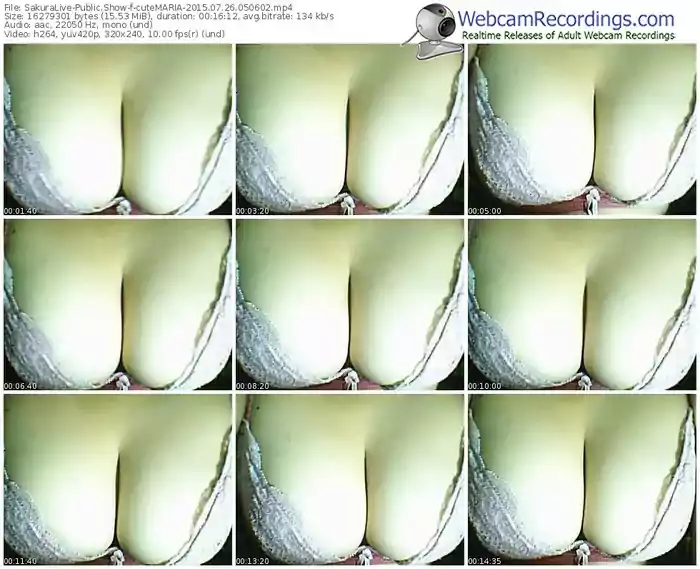 sakuralivejp-cutemaria-public-show-07_26_2015-05_06_02