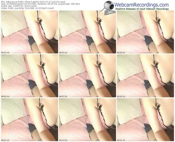 sakuralivejp-ako02-public-show-07_27_2015-22_11_51