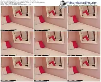 sakuralivejp-lexilane-public-show-07_28_2015-09_07_03