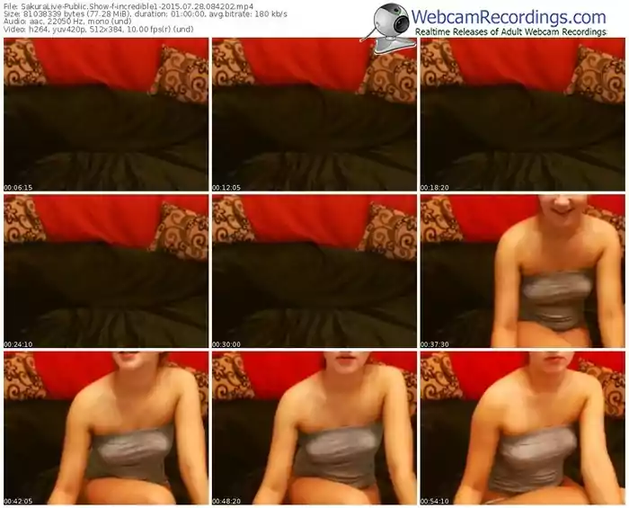 sakuralivejp-incredible1-public-show-07_28_2015-08_42_02