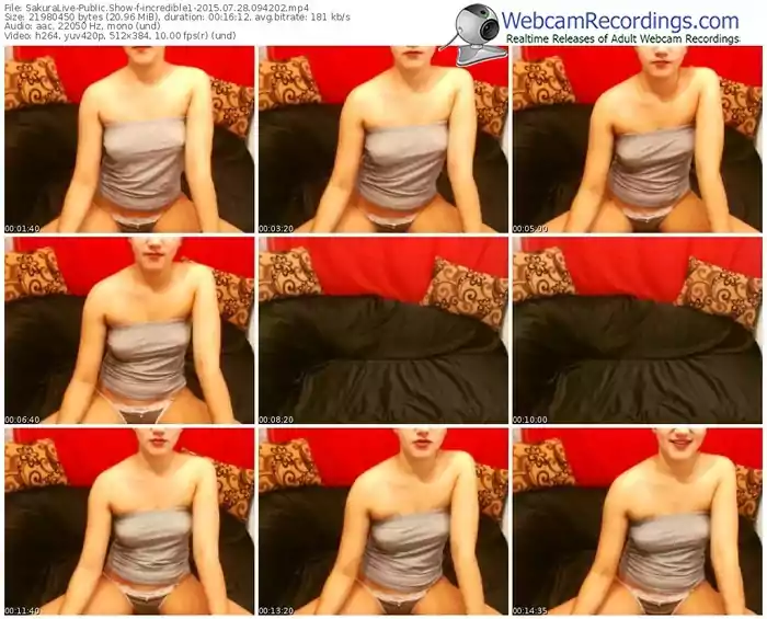 sakuralivejp-incredible1-public-show-07_28_2015-09_42_02