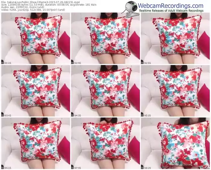 sakuralivejp-rame3-public-show-07_29_2015-08_22_31