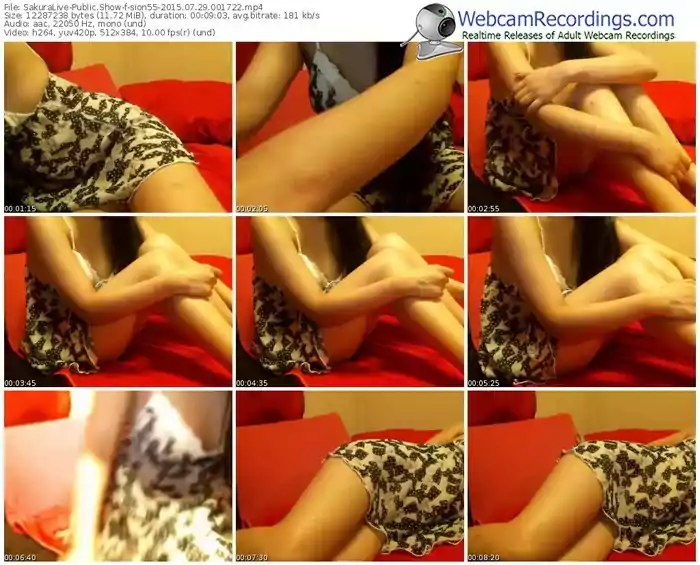 sakuralivejp-sion55-public-show-07_29_2015-00_17_22