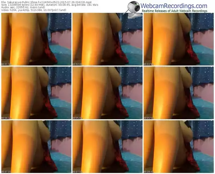 sakuralivejp-xyukinox0522-public-show-07_29_2015-03_42_26