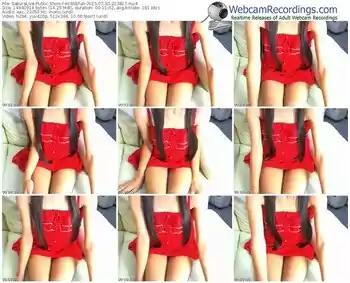 sakuralivejp-ayanefun-public-show-07_30_2015-22_38_17