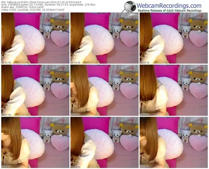 sakuralivejp-guccyan-public-show-07_30_2015-21_53_16