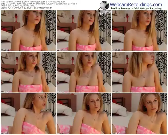 sakuralivejp-lucystar-public-show-07_30_2015-09_03_01