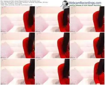 sakuralivejp-rame3-public-show-07_30_2015-21_33_16