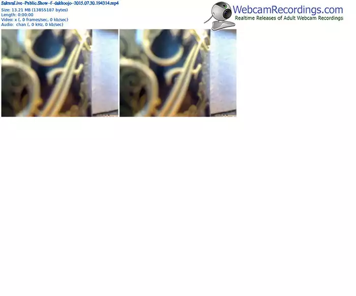 sakuralivejp-dakkoojo-public-show-07_30_2015-19_43_14