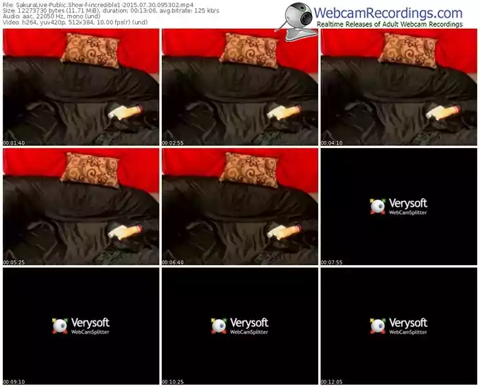 sakuralivejp-incredible1-public-show-07_30_2015-09_53_02