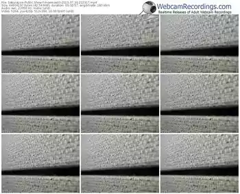 sakuralivejp-moemoe00-public-show-07_30_2015-22_23_17