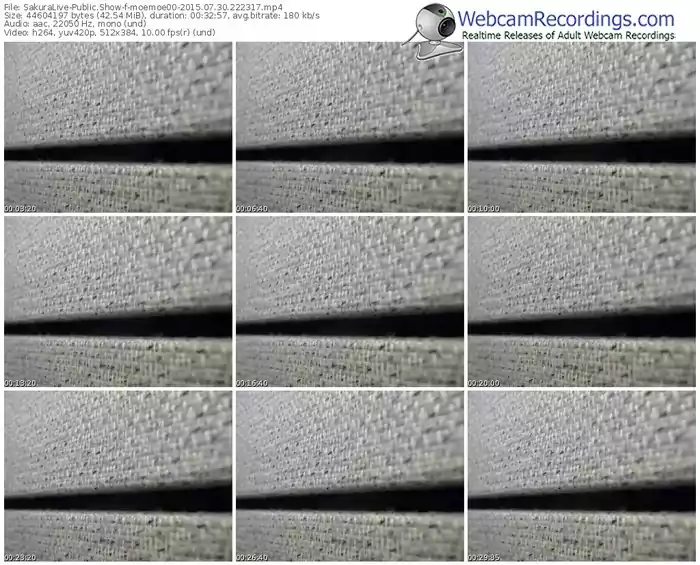 sakuralivejp-moemoe00-public-show-07_30_2015-22_23_17