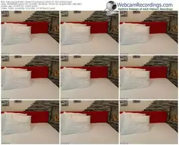 sakuralivejp-crystalluv-public-show-07_31_2015-12_08_32