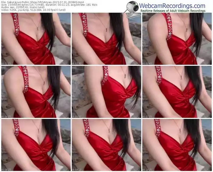 sakuralivejp-risanyao-public-show-07_31_2015-20_38_43