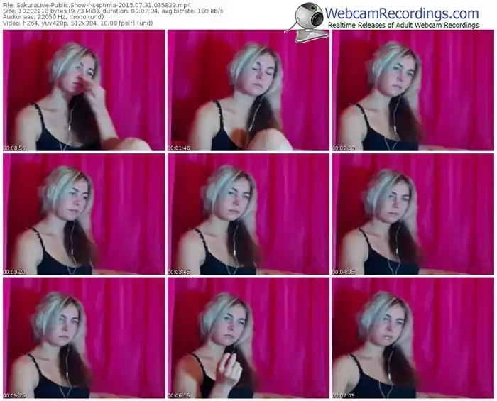 sakuralivejp-septima-public-show-07_31_2015-03_58_23