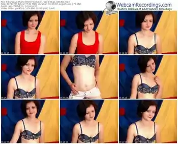 sakuralivejp-seducer1-public-show-08_01_2015-04_43_53