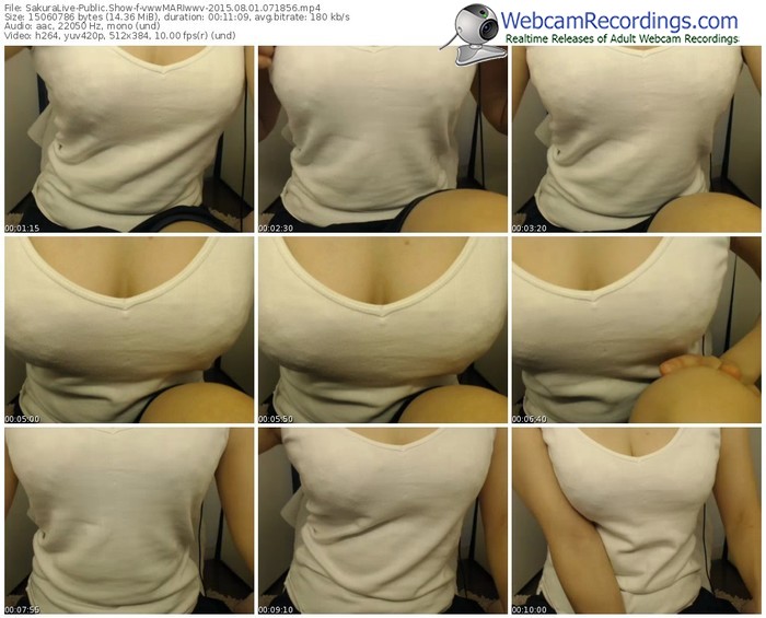 sakuralivejp-vwwmariwwv-public-show-08_01_2015-07_18_56
